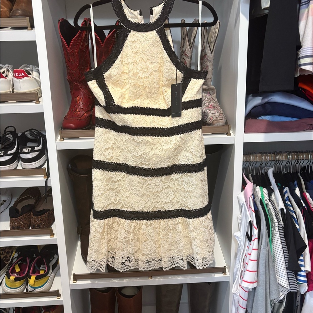 BCBG Black and Cream Tiered Halter Mini Dress